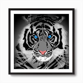 White Tiger With Blue Eyes Art Print