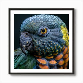 Parrot 3 Art Print