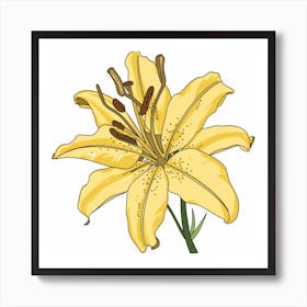 Yellow Lily 1 Art Print