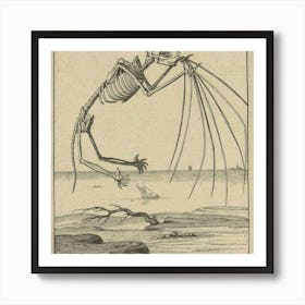 Skeleton Of A Bird Art Print