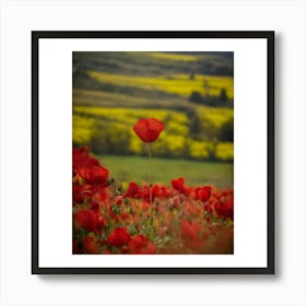 Poppy Field Art Print