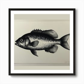 Bass Fish Art Print