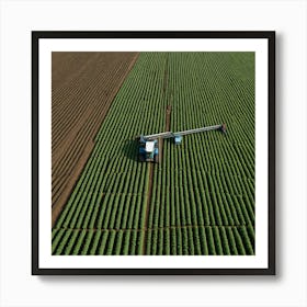 Aerial View Of A Potato Field Art Print