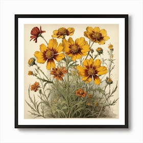 Coreopsis Wildflower Vintage Botanical Art Print 2 Art Print