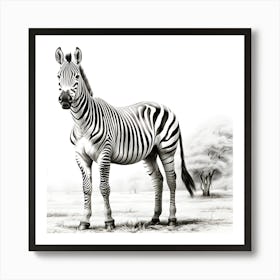 Ethereal Stripes Zebra S Splendor Art Print