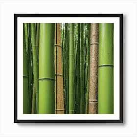 Bamboo Forest Art Print