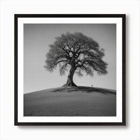 Lone Tree Art Print