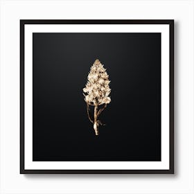 Gold Botanical Leafy Spiked Orchis Flower on Wrought Iron Black n.4100 Art Print