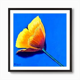 Californian Poppy 2 Art Print