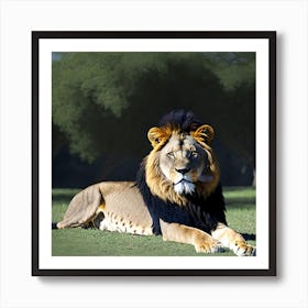 Lion In The Grass 4 Art Print