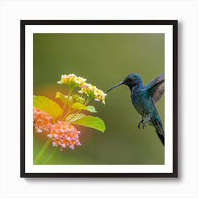 Hummingbird Art Print