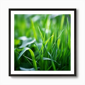 Grass Plant Texture Green Detail Nature Fresh Beautiful Summer Natural Spring Ecology Be (7) Art Print