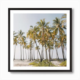 Palm Tree Forest Art Print