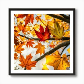 Autumn Leaves Art Print