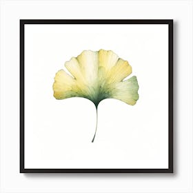 Ginkgo Leaf Canvas Print Art Print