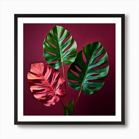 Monstera Leaves On Red Background Art Print