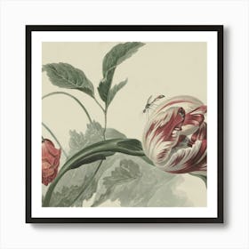 Tulip 1 Art Print