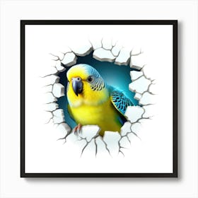 Blue And Yellow Parakeet Art Print