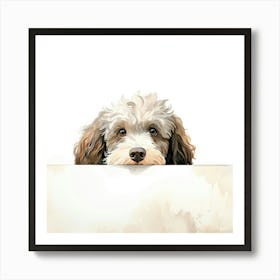 Spanish Water Dog Art Print