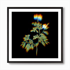 Prism Shift White Sweetbriar Rose Botanical Illustration on Black Art Print