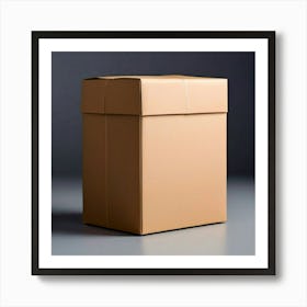 Cardboard Box 8 Art Print