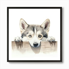 Siberian Husky 2 Art Print