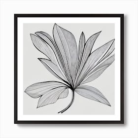 Black And White Leaf Art Print