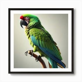 Parrot On A Branch 6 Art Print