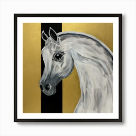 Arabian Horse 1 Póster