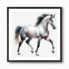 White Horse On Black Background 1 Art Print