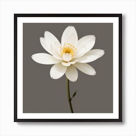 Lotus Flower 1 Art Print