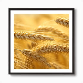 Golden Wheat 3 Art Print