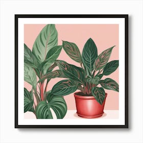 Pink And Red Plant Illustration Chinese Evergreen Art print 2 Art Print