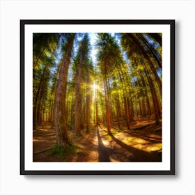 Hdr High Dynamic Range 1 Art Print