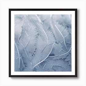 Frosted Feathers Art Print