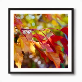 Autumn Leaves 8 Art Print