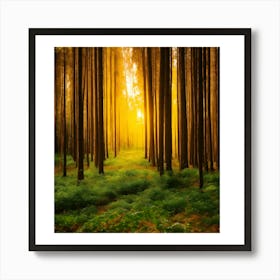 Sunrise In The Forest 2 Art Print
