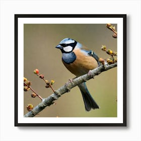 Tit on branch 46 Art Print