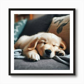 Golden Retriever Puppy Sleeping On Couch Art Print