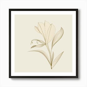 Lily Of The Valley 17 Art Print