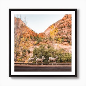 Zion National Park Sheep Square Art Print