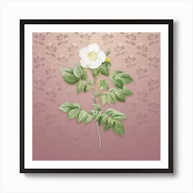 Vintage Leschenault's Rose Botanical on Dusty Pink Pattern n.2552 Art Print