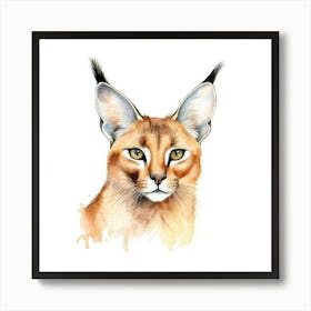 Caracal Cat Portrait 2 Art Print