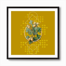 Vintage Aronia Thorn Flower Botanical with Geometric Line Motif and Dot Pattern Art Print