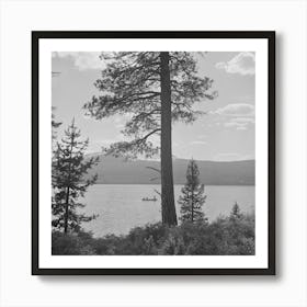 Douglas County, Oregon, Diamond Lake Resort Area By Russell Lee Art Print