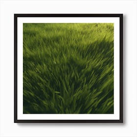 Green Grass 35 Art Print