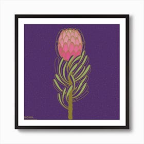 Protea Flower Square Art Print