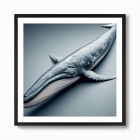 Whale - Whale Stock Videos & Royalty-Free Footage Art Print