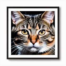 Portrait Of A Tabby Cat 1 Art Print