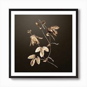 Gold Botanical Red Passion Flower on Chocolate Brown n.3301 Art Print